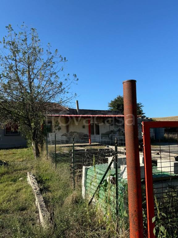 immagine annuncio 9 di 11