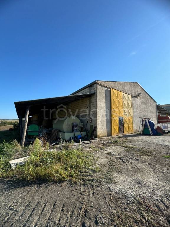 immagine annuncio 10 di 11