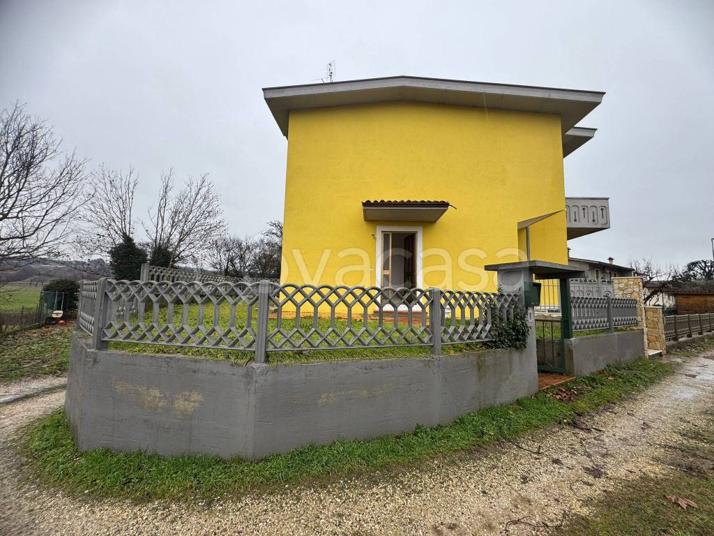 immagine annuncio 1 di 13