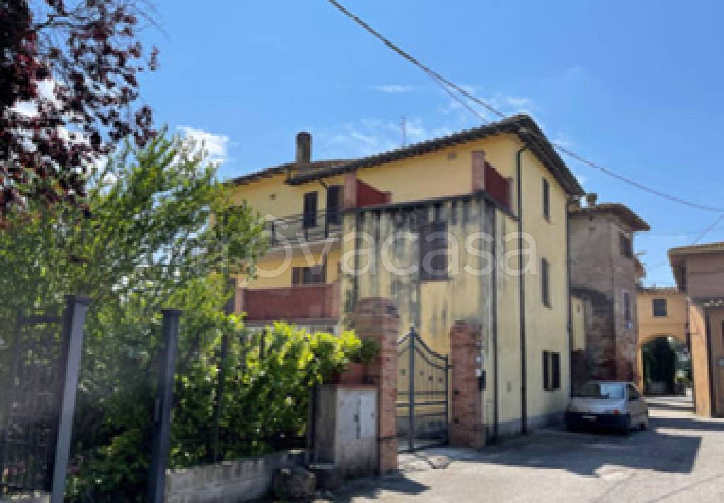 immagine annuncio 7 di 12