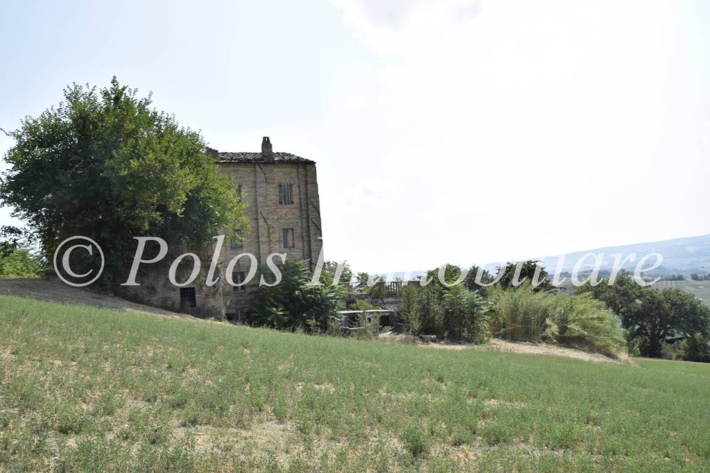 immagine annuncio 7 di 11