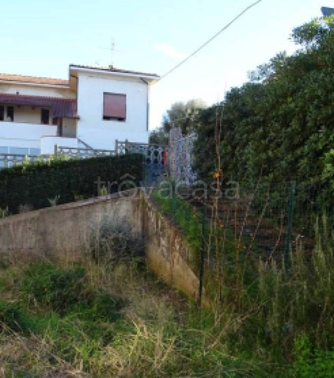 immagine annuncio 7 di 13