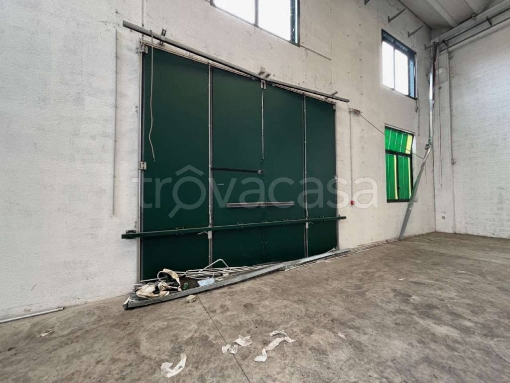 immagine annuncio 5 di 8