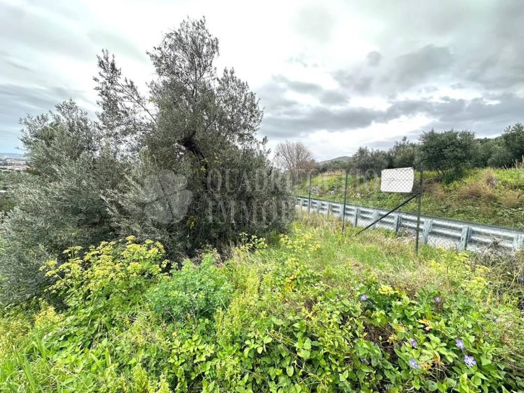 immagine annuncio 8 di 11
