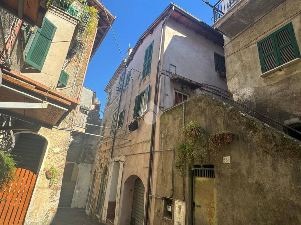 immagine annuncio 1 di 12
