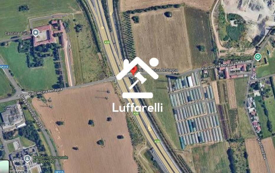 immagine annuncio 9 di 12