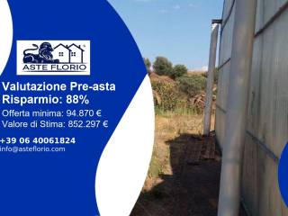 Azienda agricola all'asta a bernalda sp154