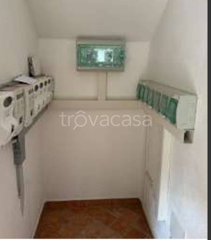 immagine annuncio 3 di 14