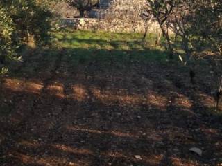 Terreno agricolo in vendita a sammichele di bari contrada macchia caruso