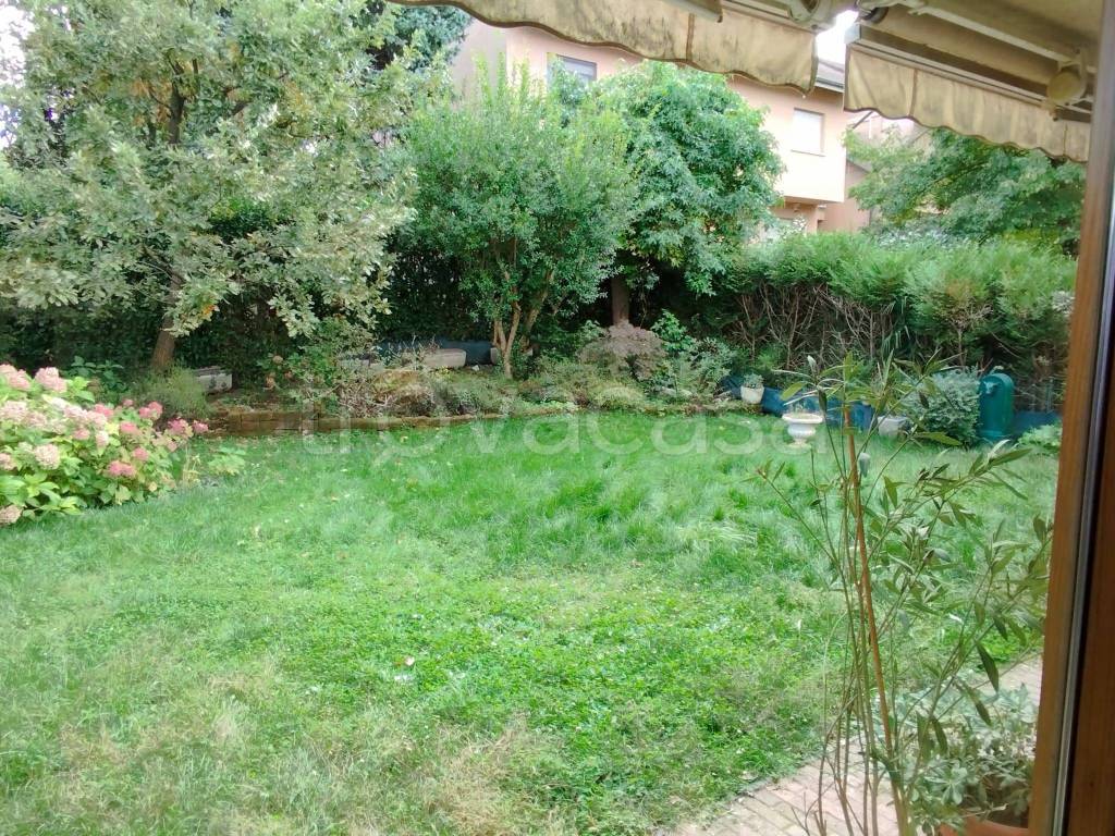 immagine annuncio 6 di 15