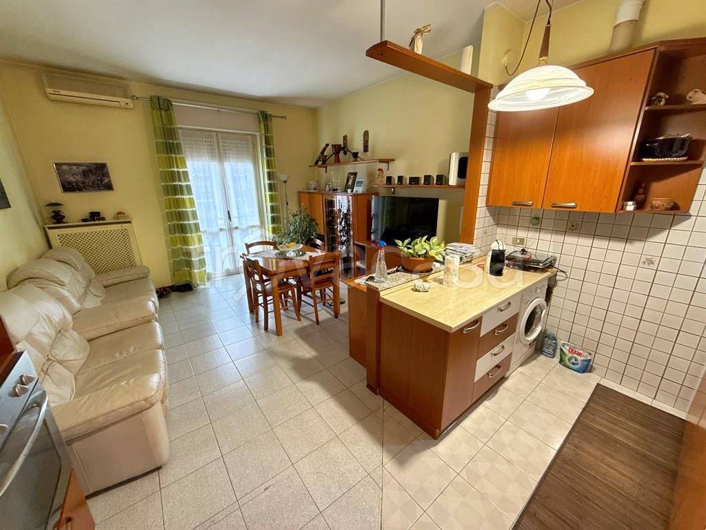 immagine annuncio 6 di 14