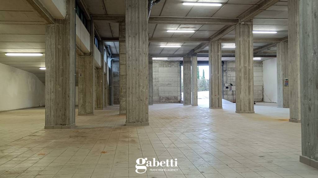 immagine annuncio 4 di 6