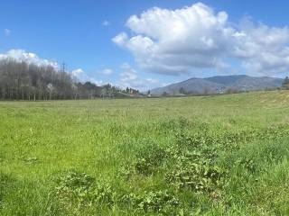 Terreno agricolo in vendita a pescia via dei colletti di veneri