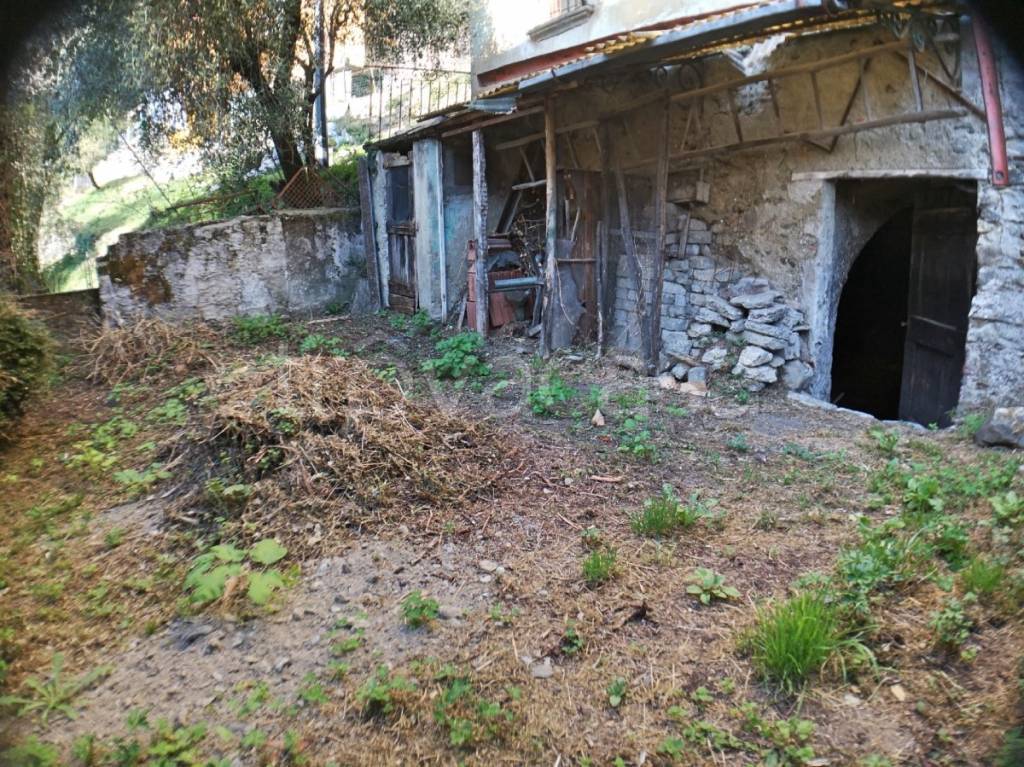 immagine annuncio 4 di 7