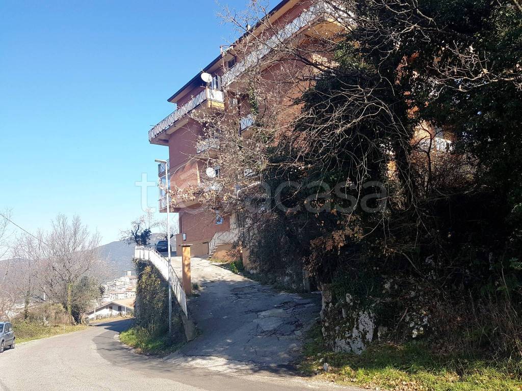 immagine annuncio 1 di 14