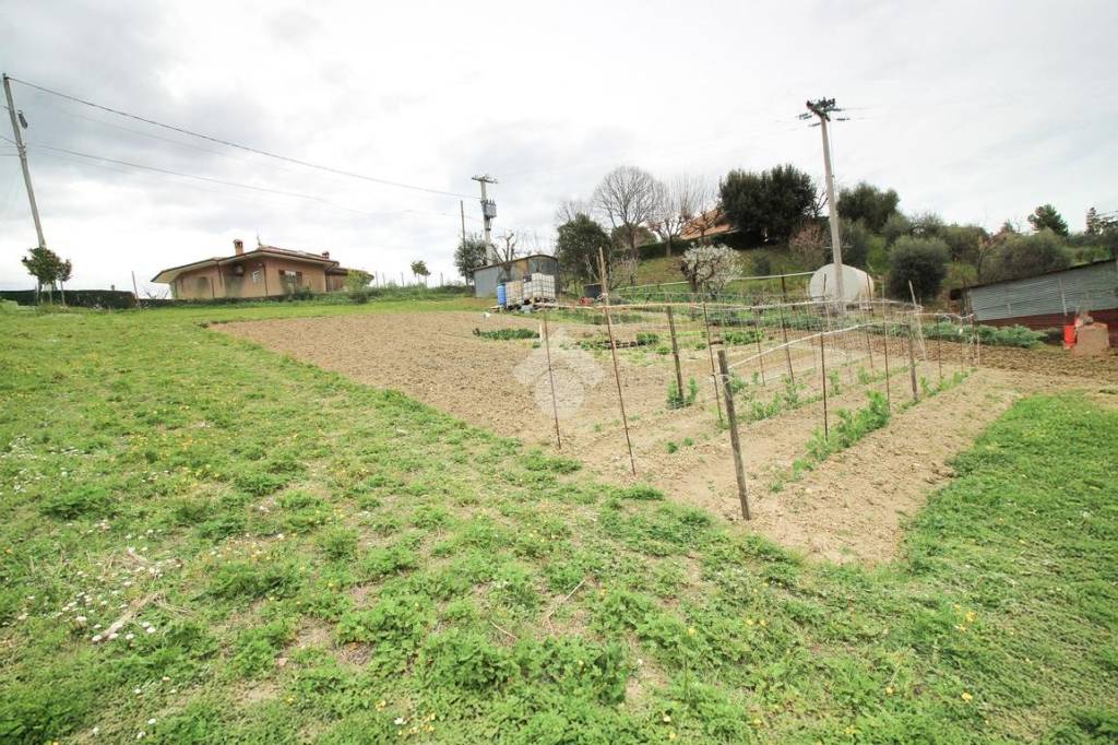immagine annuncio 11 di 14