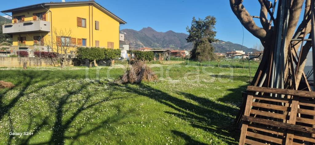 immagine annuncio 5 di 8