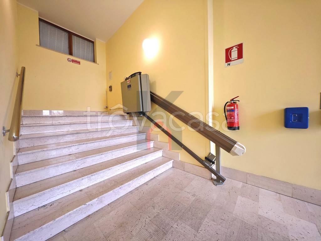 immagine annuncio 11 di 14