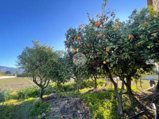 Terreno agricolo in vendita a scafati via fosso dei bagni