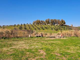 Terreno agricolo in affitto a roma via di porta medaglia