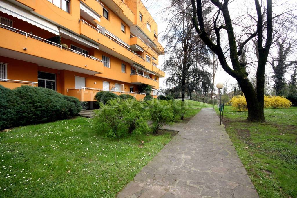 immagine annuncio 4 di 15