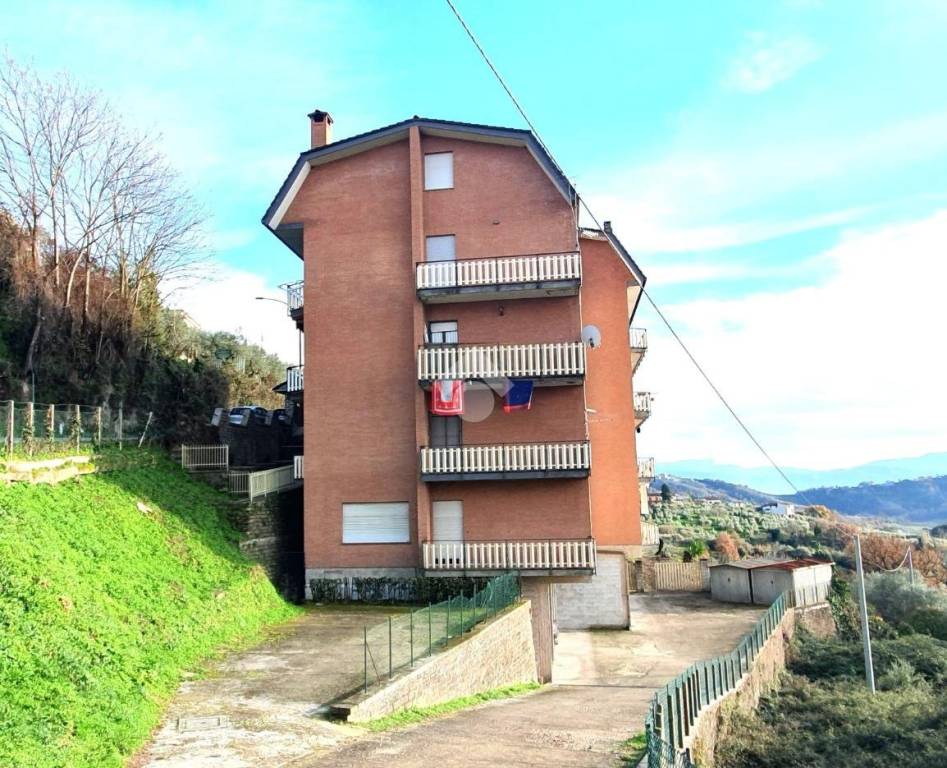 immagine annuncio 2 di 11