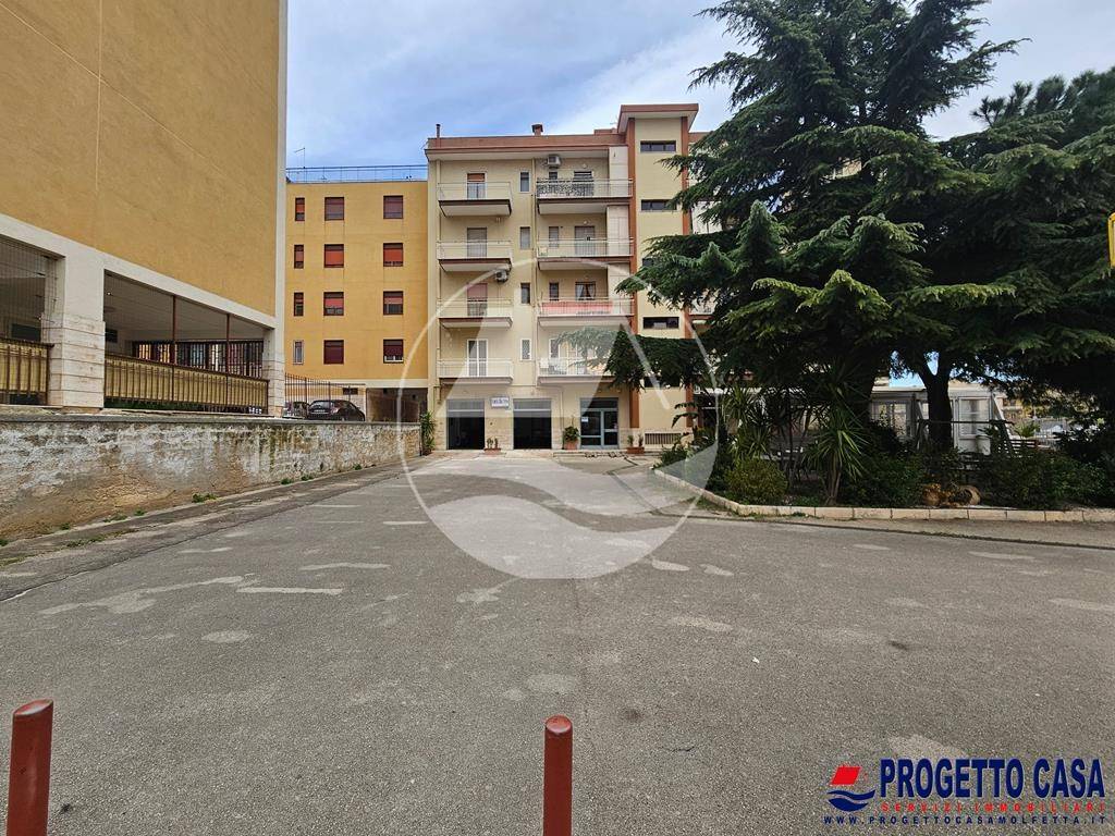 immagine annuncio 1 di 14