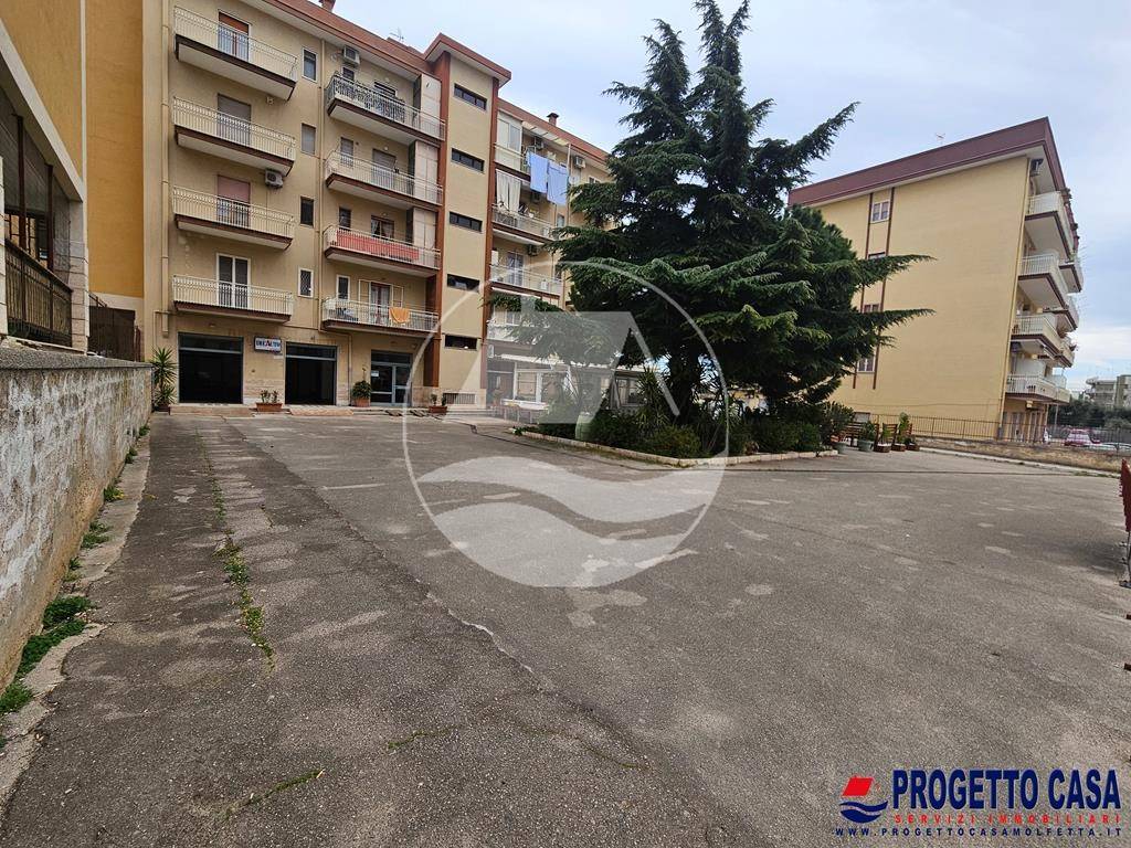 immagine annuncio 2 di 14