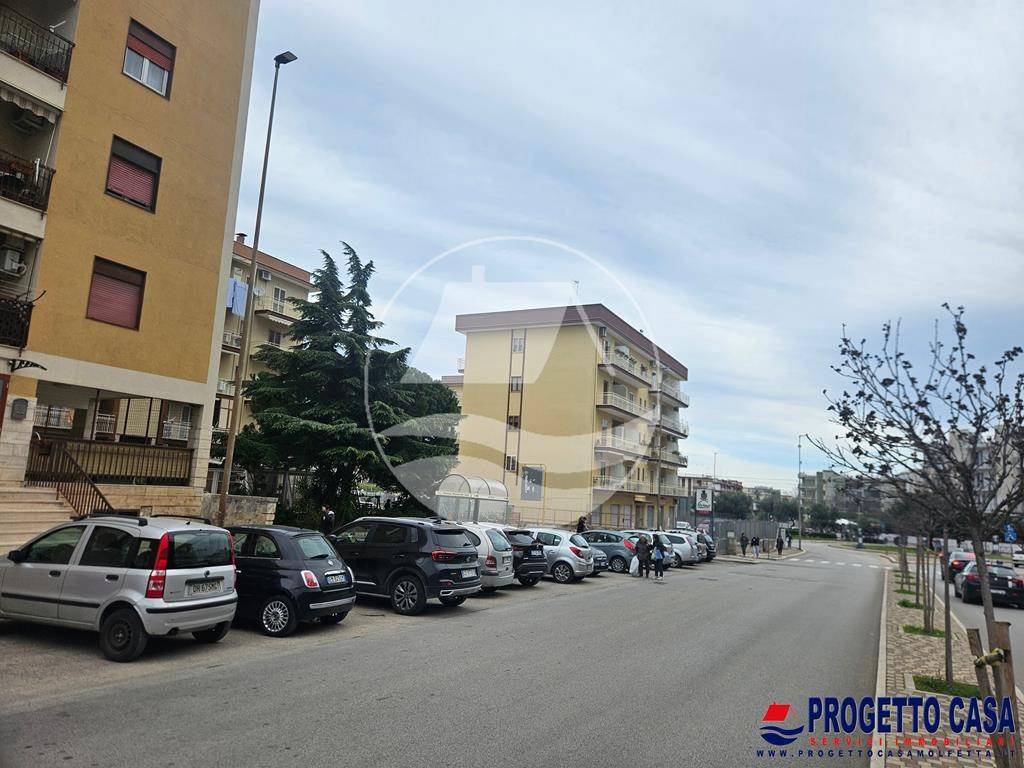 immagine annuncio 4 di 14