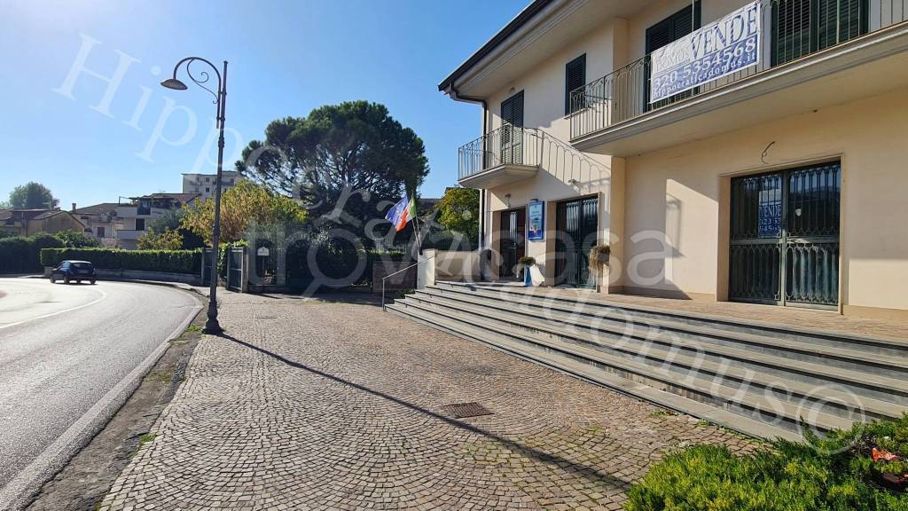 immagine annuncio 10 di 14