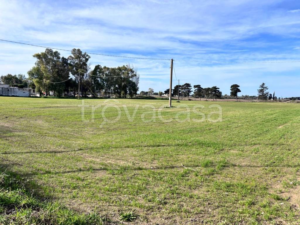 immagine annuncio 1 di 4