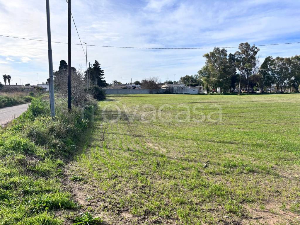 immagine annuncio 3 di 4