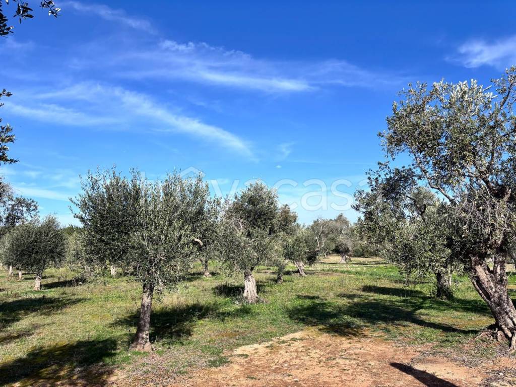 immagine annuncio 3 di 4