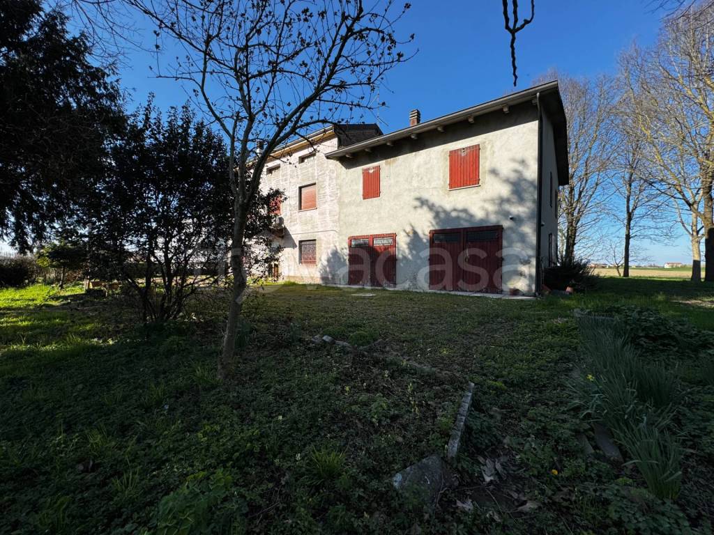 immagine annuncio 11 di 15