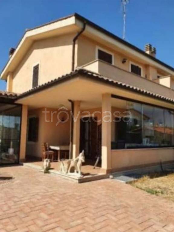immagine annuncio 11 di 14