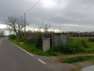 Terreno agricolo in vendita ad acerra via mura di piombo