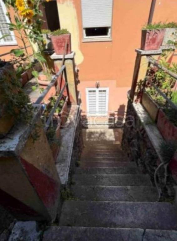 immagine annuncio 2 di 14