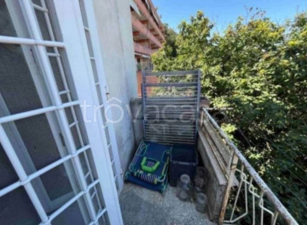 immagine annuncio 11 di 14
