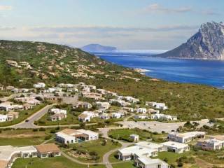 Albergo all'asta a san teodoro località la pipara, n. snc