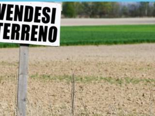 Terreno agricolo all'asta ad albano laziale località pavona, via casette.