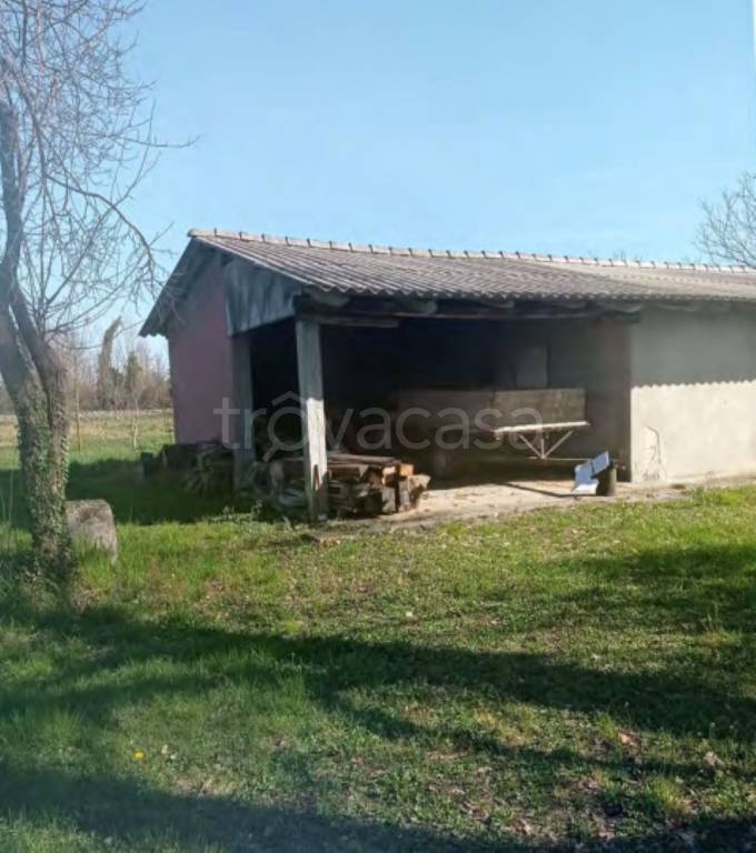 immagine annuncio 2 di 11