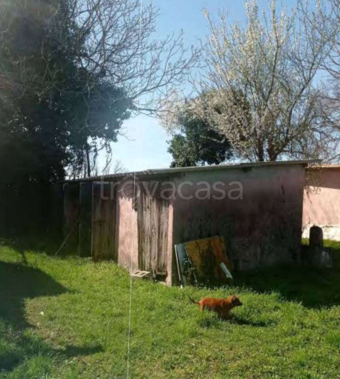 immagine annuncio 5 di 11