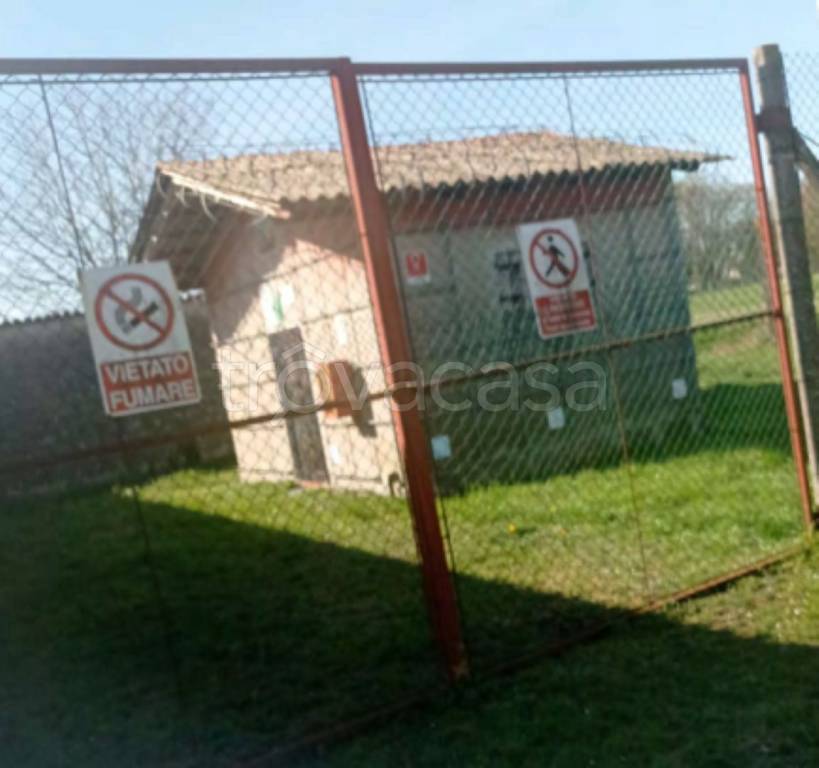 immagine annuncio 10 di 11