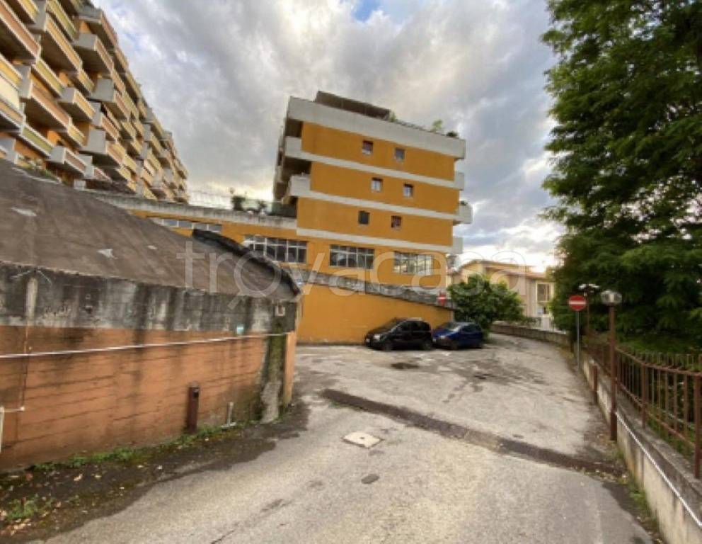 immagine annuncio 11 di 13