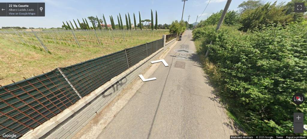 immagine annuncio 9 di 12