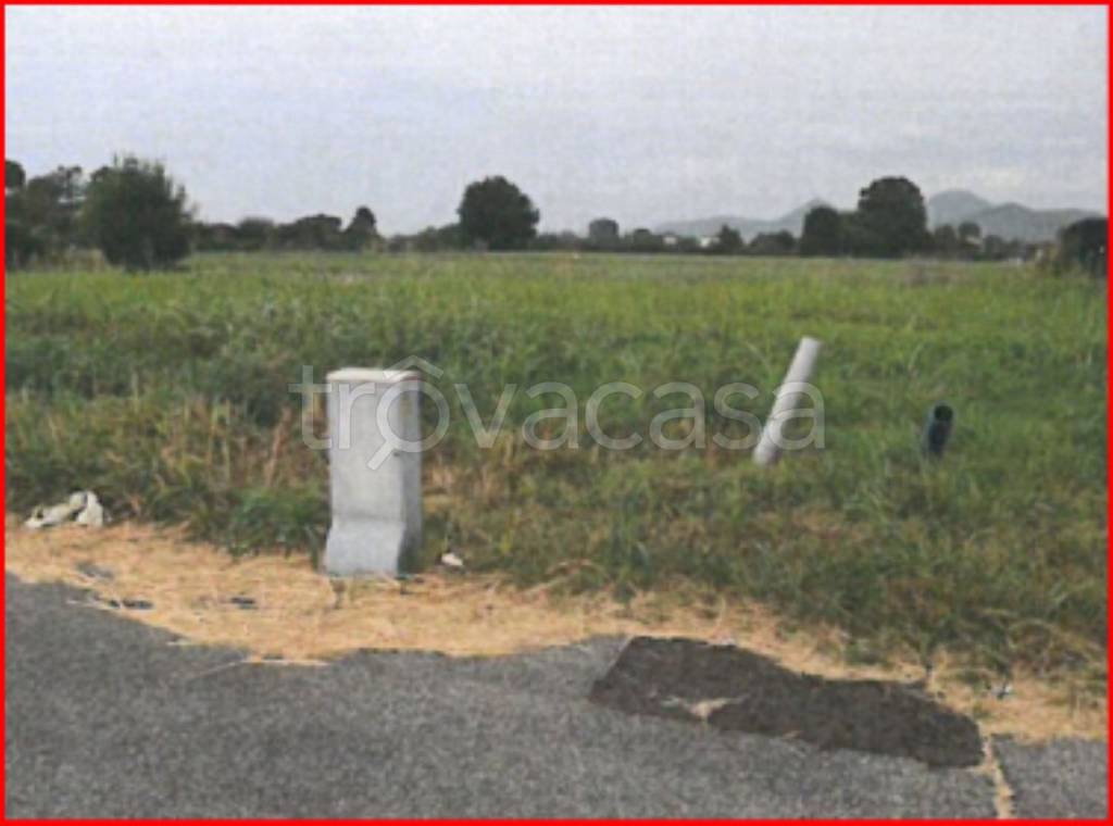 immagine annuncio 7 di 11