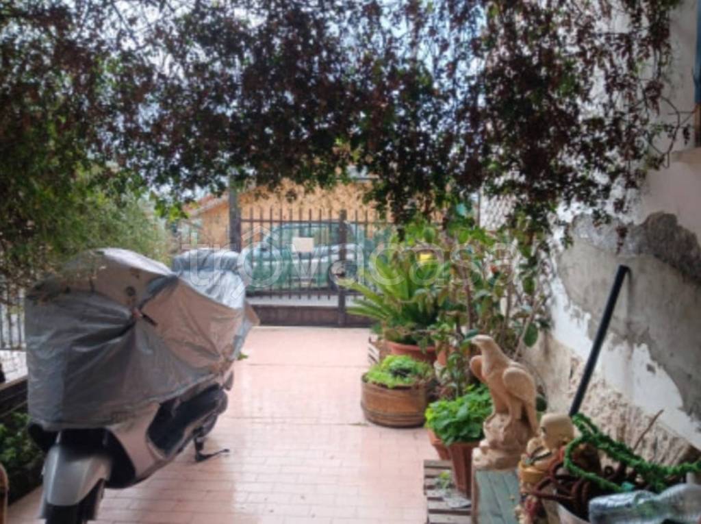 immagine annuncio 5 di 14