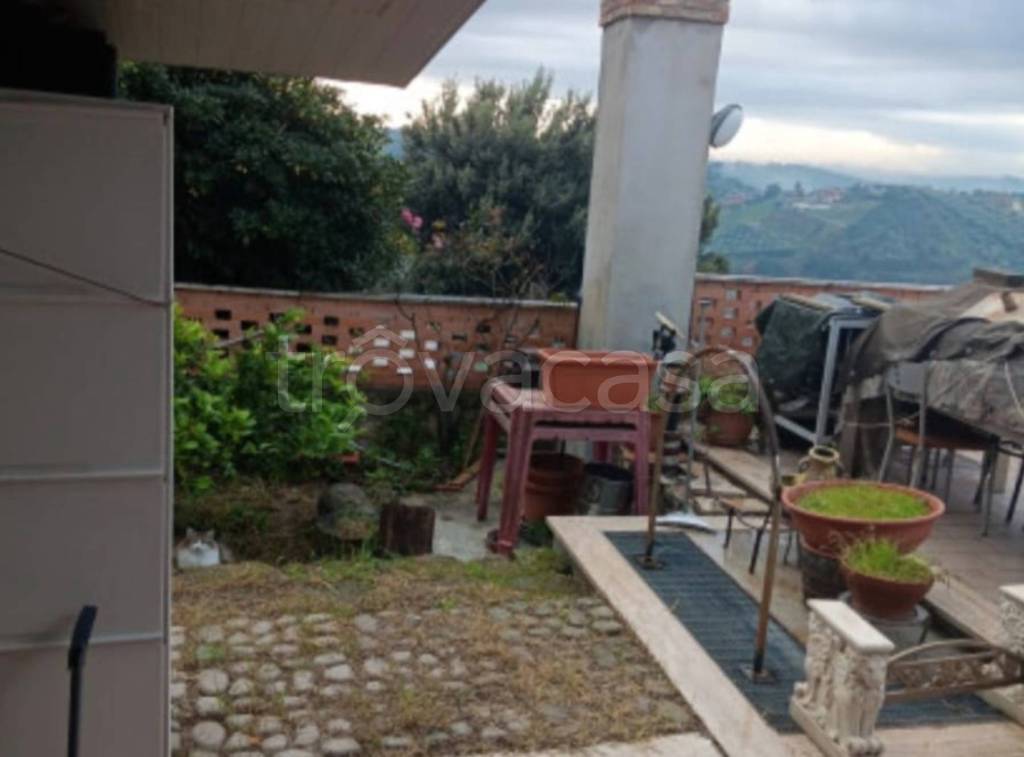 immagine annuncio 11 di 14