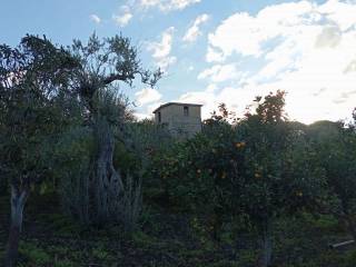 Terreno agricolo in vendita a campofelice di roccella contrada piana calzata