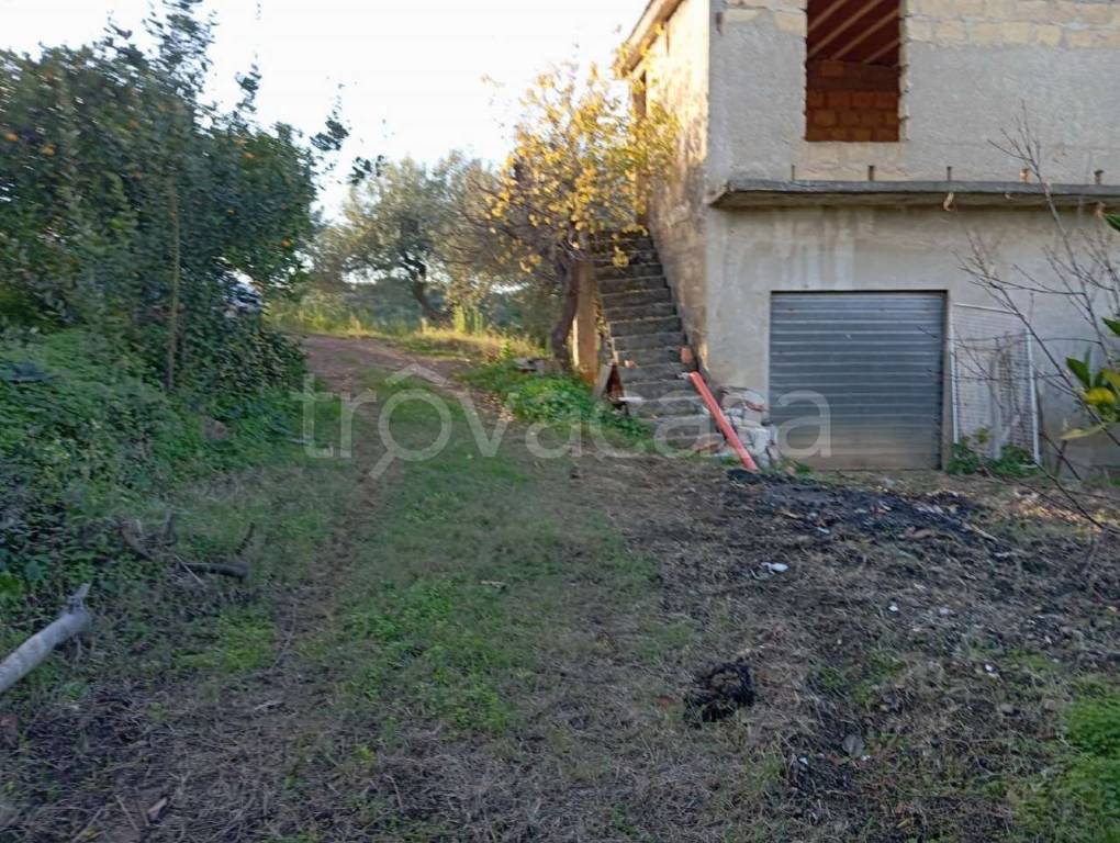 immagine annuncio 3 di 14